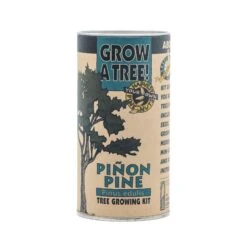 Piñon Pine | Seed Grow Kit