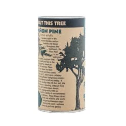 Piñon Pine | Seed Grow Kit -Evergreen Plants Shop Pinu0303on Pine Grow Kit 360 10