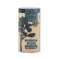 Piñon Pine | Seed Grow Kit -Evergreen Plants Shop Pinu0303on Pine Grow Kit 360 2
