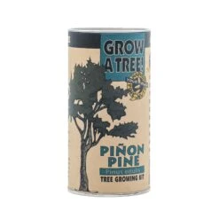 Piñon Pine | Seed Grow Kit -Evergreen Plants Shop Pinu0303on Pine Grow Kit 360 3