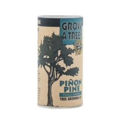 Piñon Pine | Seed Grow Kit -Evergreen Plants Shop Pinu0303on Pine Grow Kit 360 4