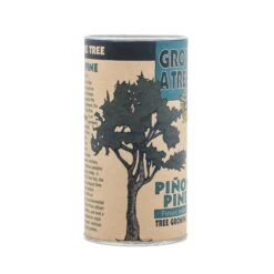 Piñon Pine | Seed Grow Kit -Evergreen Plants Shop Pinu0303on Pine Grow Kit 360 6