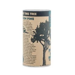 Piñon Pine | Seed Grow Kit -Evergreen Plants Shop Pinu0303on Pine Grow Kit 360 9