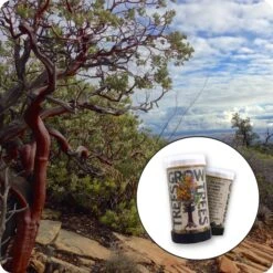 Pointleaf Manzanita | Mini-Grow Kit