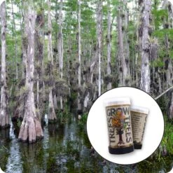 Pond Cypress | Mini-Grow Kit