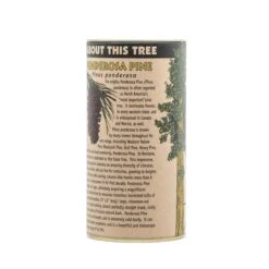 Ponderosa Pine | Seed Grow Kit -Evergreen Plants Shop Ponderosa Pine 10
