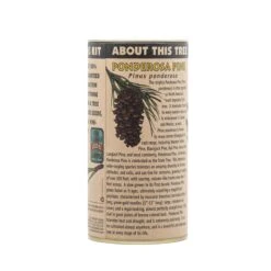 Ponderosa Pine | Seed Grow Kit -Evergreen Plants Shop Ponderosa Pine 14