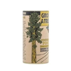 Ponderosa Pine | Seed Grow Kit -Evergreen Plants Shop Ponderosa Pine 4