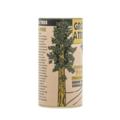 Ponderosa Pine | Seed Grow Kit -Evergreen Plants Shop Ponderosa Pine 5