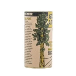 Ponderosa Pine | Seed Grow Kit -Evergreen Plants Shop Ponderosa Pine 6