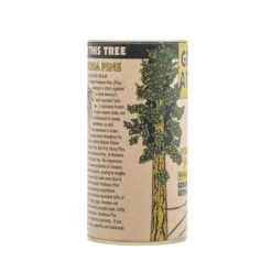 Ponderosa Pine | Seed Grow Kit -Evergreen Plants Shop Ponderosa Pine 7