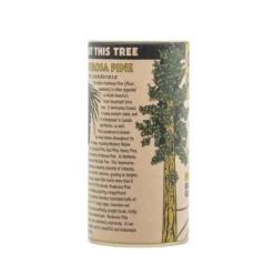 Ponderosa Pine | Seed Grow Kit -Evergreen Plants Shop Ponderosa Pine 8