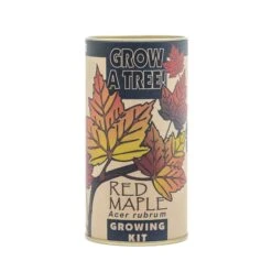 Red Maple | Seed Grow Kit -Evergreen Plants Shop Red Maple Kit 360 1