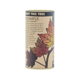 Red Maple | Seed Grow Kit -Evergreen Plants Shop Red Maple Kit 360 10