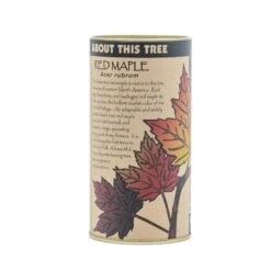 Red Maple | Seed Grow Kit -Evergreen Plants Shop Red Maple Kit 360 11