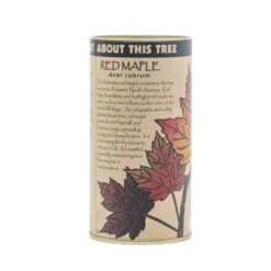 Red Maple | Seed Grow Kit -Evergreen Plants Shop Red Maple Kit 360 13