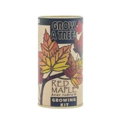 Red Maple | Seed Grow Kit -Evergreen Plants Shop Red Maple Kit 360 2