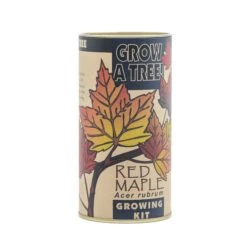 Red Maple | Seed Grow Kit -Evergreen Plants Shop Red Maple Kit 360 3