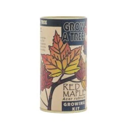 Red Maple | Seed Grow Kit -Evergreen Plants Shop Red Maple Kit 360 4