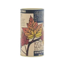 Red Maple | Seed Grow Kit -Evergreen Plants Shop Red Maple Kit 360 5