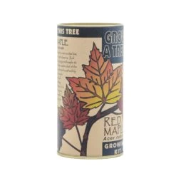 Red Maple | Seed Grow Kit -Evergreen Plants Shop Red Maple Kit 360 6