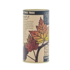 Red Maple | Seed Grow Kit -Evergreen Plants Shop Red Maple Kit 360 7