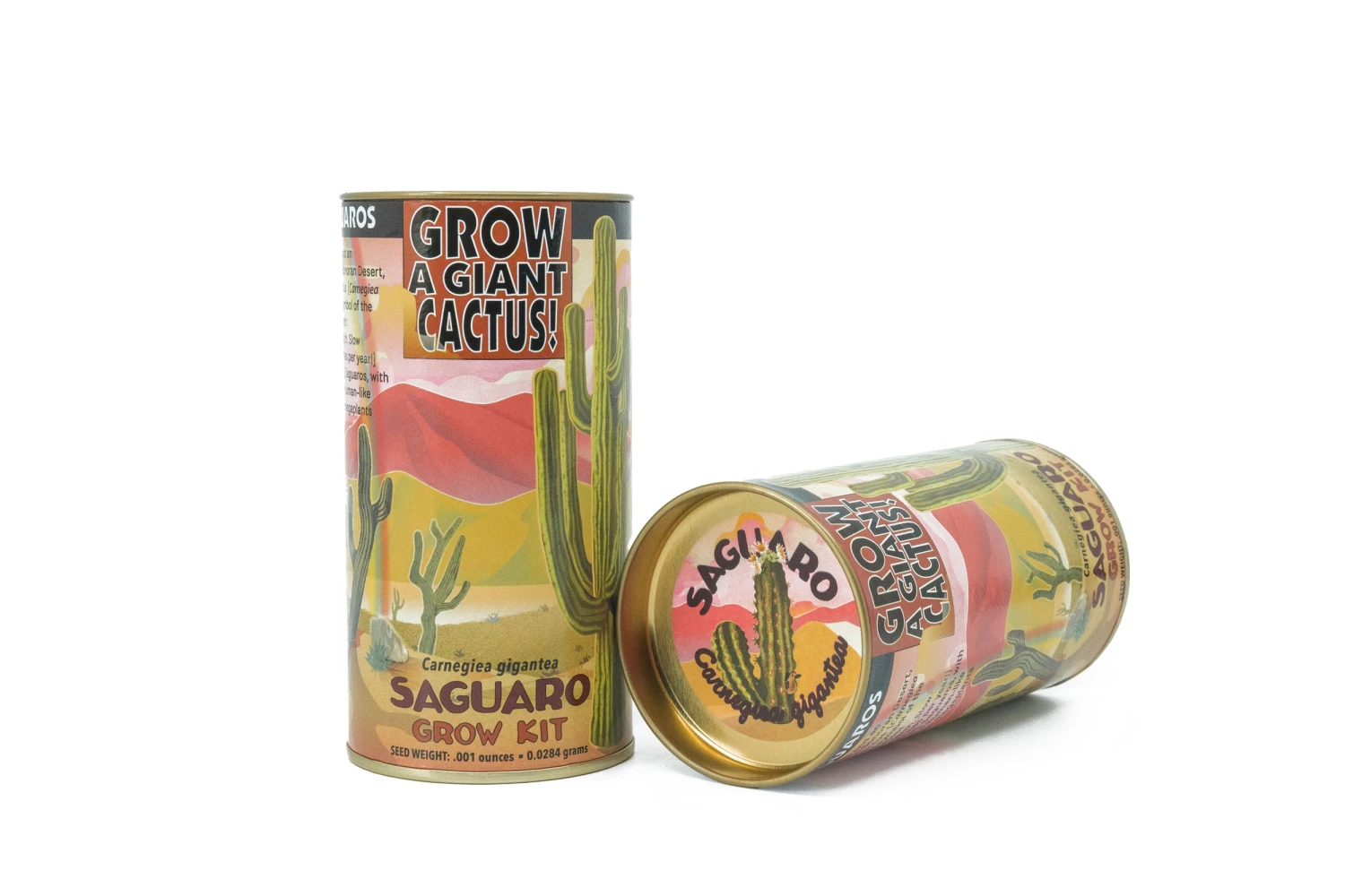 Saguaro Cactus | Seed Grow Kit 2 Saguaro Cactus | Seed Grow Kit - Image 2