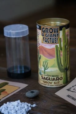 Saguaro Cactus | Seed Grow Kit 24 Saguaro Cactus | Seed Grow Kit -Evergreen Plants Shop Saguaro Lifestyle 23