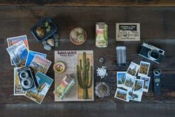 Saguaro Cactus | Seed Grow Kit 25 Saguaro Cactus | Seed Grow Kit -Evergreen Plants Shop Saguaro Lifestyle 24