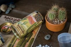 Saguaro Cactus | Seed Grow Kit 27 Saguaro Cactus | Seed Grow Kit -Evergreen Plants Shop Saguaro Lifestyle 36