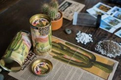 Saguaro Cactus | Seed Grow Kit 23 Saguaro Cactus | Seed Grow Kit -Evergreen Plants Shop Saguaro Lifestyle 39