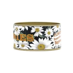 Shasta Daisy | Flower Seed Grow Kit 39 Shasta Daisy | Flower Seed Grow Kit -Evergreen Plants Shop Shasta Daisies Kit 360 Website 10