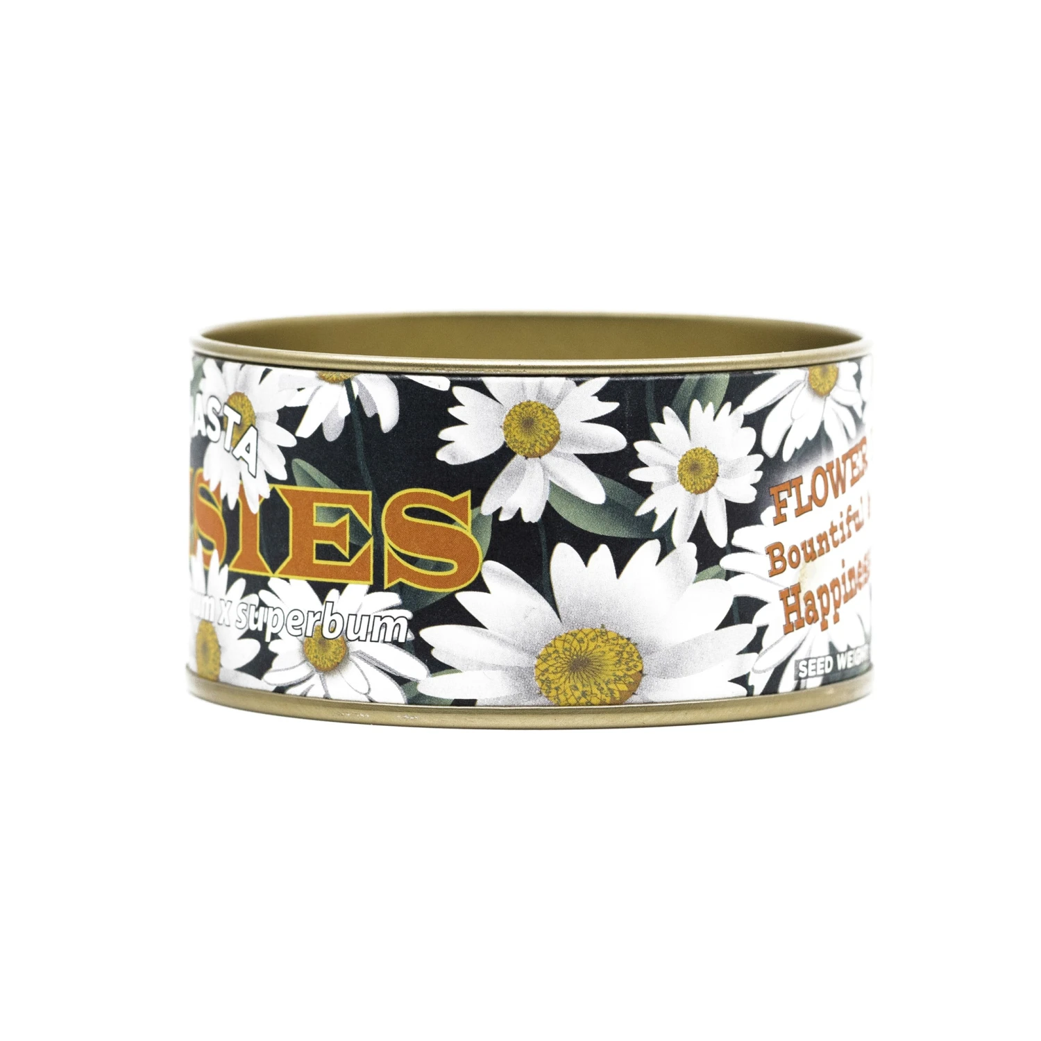 Shasta Daisy | Flower Seed Grow Kit 20 Shasta Daisy | Flower Seed Grow Kit - Image 20