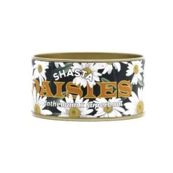 Shasta Daisy | Flower Seed Grow Kit 32 Shasta Daisy | Flower Seed Grow Kit -Evergreen Plants Shop Shasta Daisies Kit 360 Website 3