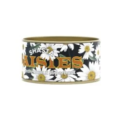 Shasta Daisy | Flower Seed Grow Kit 34 Shasta Daisy | Flower Seed Grow Kit -Evergreen Plants Shop Shasta Daisies Kit 360 Website 5