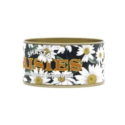 Shasta Daisy | Flower Seed Grow Kit 35 Shasta Daisy | Flower Seed Grow Kit -Evergreen Plants Shop Shasta Daisies Kit 360 Website 6