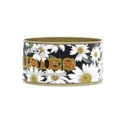 Shasta Daisy | Flower Seed Grow Kit 36 Shasta Daisy | Flower Seed Grow Kit -Evergreen Plants Shop Shasta Daisies Kit 360 Website 7