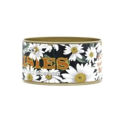 Shasta Daisy | Flower Seed Grow Kit 37 Shasta Daisy | Flower Seed Grow Kit -Evergreen Plants Shop Shasta Daisies Kit 360 Website 8