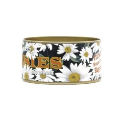 Shasta Daisy | Flower Seed Grow Kit 38 Shasta Daisy | Flower Seed Grow Kit -Evergreen Plants Shop Shasta Daisies Kit 360 Website 9