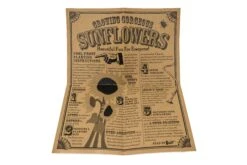 Sunflower | Flower Seed Grow Kit -Evergreen Plants Shop Sunflower Instructions