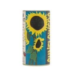 Sunflower | Flower Seed Grow Kit -Evergreen Plants Shop Sunflowers Grow Kit 360 12