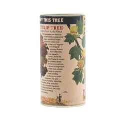 Tulip Poplar | Seed Grow Kit -Evergreen Plants Shop Tulip Poplar 10