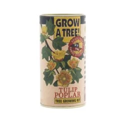 Tulip Poplar | Seed Grow Kit -Evergreen Plants Shop Tulip Poplar 2 1