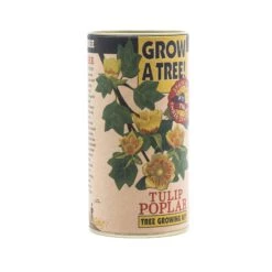 Tulip Poplar | Seed Grow Kit -Evergreen Plants Shop Tulip Poplar 4 1