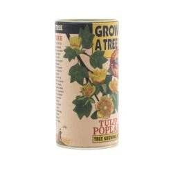 Tulip Poplar | Seed Grow Kit -Evergreen Plants Shop Tulip Poplar 5 1