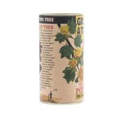 Tulip Poplar | Seed Grow Kit -Evergreen Plants Shop Tulip Poplar 8 1