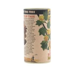 Tulip Poplar | Seed Grow Kit -Evergreen Plants Shop Tulip Poplar 9