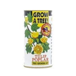 Tulip Poplar | White Design | Seed Grow Kit -Evergreen Plants Shop Tulip Poplar White Grow Kit 360 2