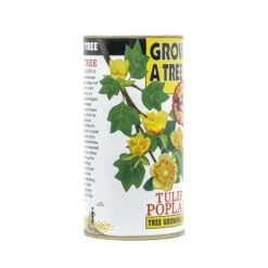 Tulip Poplar | White Design | Seed Grow Kit -Evergreen Plants Shop Tulip Poplar White Grow Kit 360 5