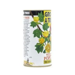 Tulip Poplar | White Design | Seed Grow Kit -Evergreen Plants Shop Tulip Poplar White Grow Kit 360 6